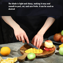 German stainless steel fruit knife, household melon and fruit knife, small and long with knife cover, peeler, scraper, portable case