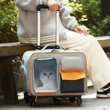 Cat bag, portable outdoor pet suitcase, small dog bag, high appearance and stress resistant cat backpack