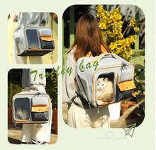 Cat bag, portable outdoor pet suitcase, small dog bag, high appearance and stress resistant cat backpack