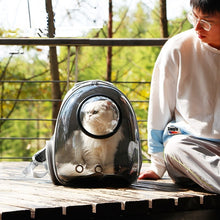 Cat bag for outdoor use, portable space capsule, pet backpack, dog backpack, large capacity backpack, outdoor cat backpack, summer cat supplies