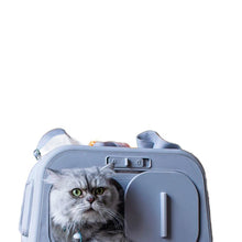 Cat bag, dog bag, outdoor pet bag, outdoor space cabin, pet cat backpack, large lift aviation suitcase