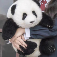 Panda Factory Simulation Giant Panda Fubao Birthday Valentine's Day Gift Doll May Age Cute Orchid and Flower