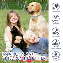 Dog Collar Flea Repellent Mosquito Repellent Collar Natural Insect Repellent Essential Oil Flea Repellent Pet Collar