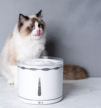 2.2L Cat Waterer Automatic Kitten Puppy Water Fountain Electric USB Dog Cat Pet Mute Drinker Feeder Bowl