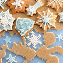 Christmas Cookies Cutters (22 PCs)