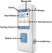 New Fashion ecg machine holter ecg