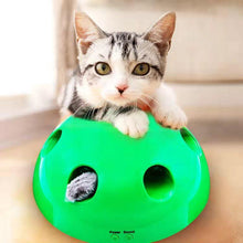 New Designed Funny High Quality Eco-friendly Kitty Toy Pop N Play Cat Toy Interactive Pop Up Toy